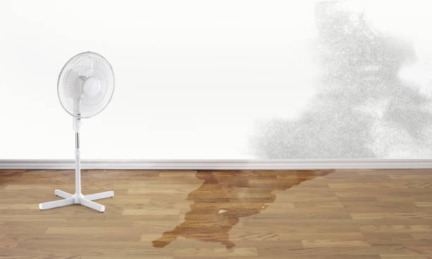 Best Water damage cleanup near me  in Croton On Hudson, NY