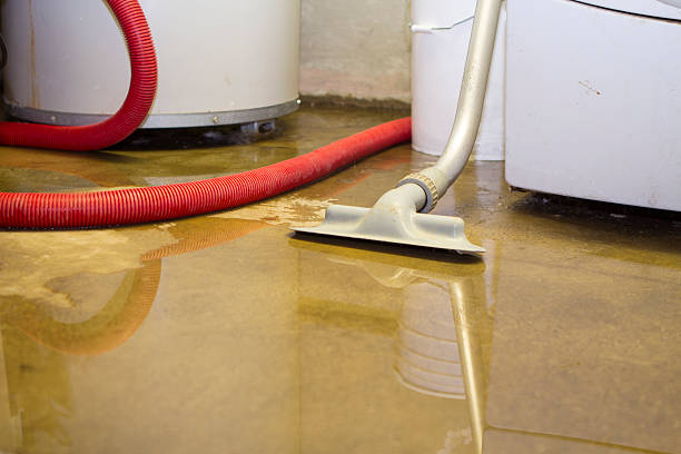 Best Professional water damage repair  in Croton On Hudson, NY