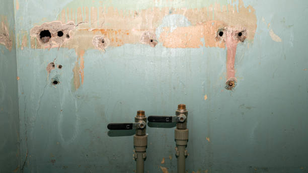 Best Commercial water damage restoration  in Croton On Hudson, NY