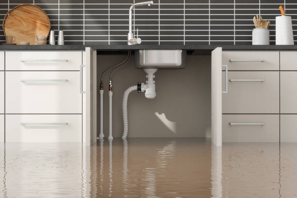 Best Flood damage cleanup  in Croton On Hudson, NY